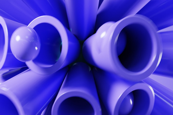 알파 존 모험 체험