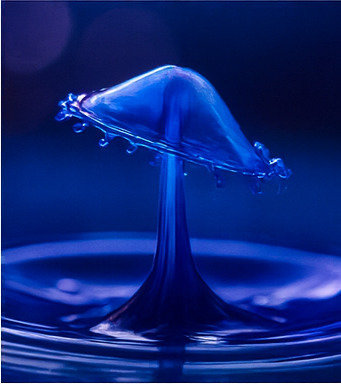 새로운 모험이 기다립니다